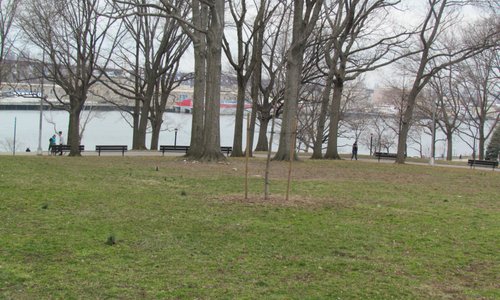 walking down to the river -shore boulevard