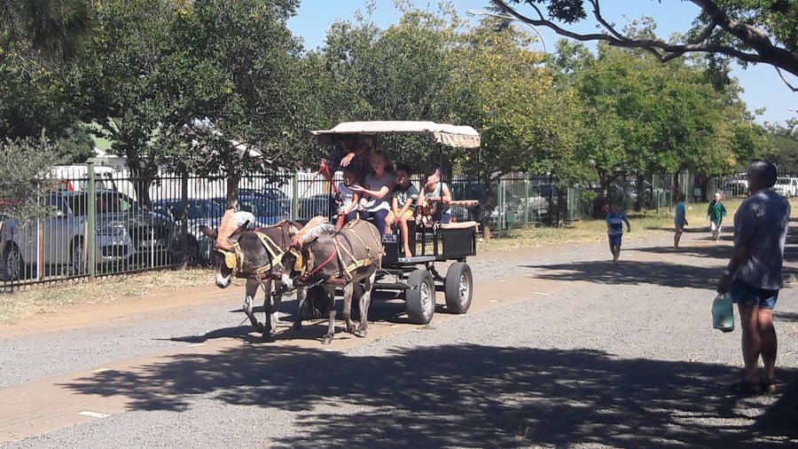 Langenhoven Park Farmers Market