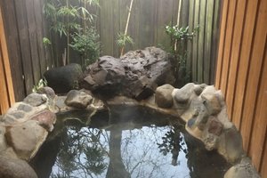旅行者の写真
