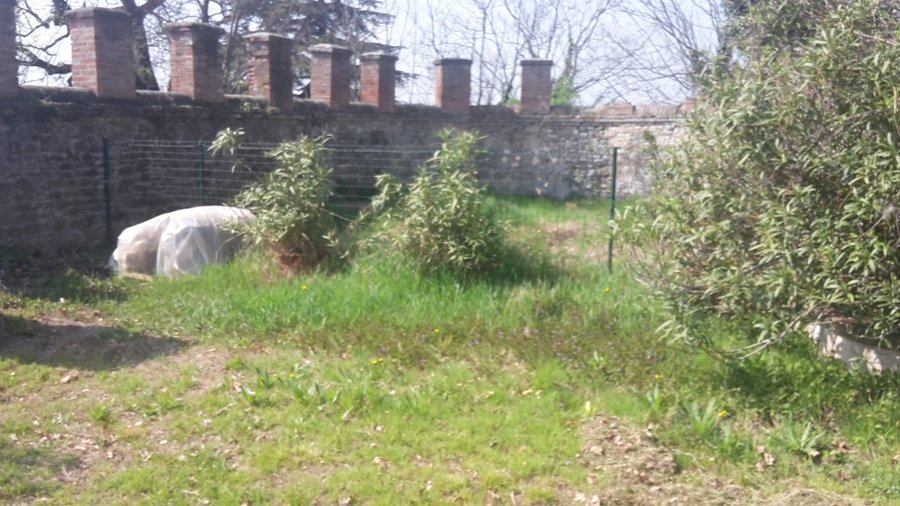 Particolari del parco e del castello