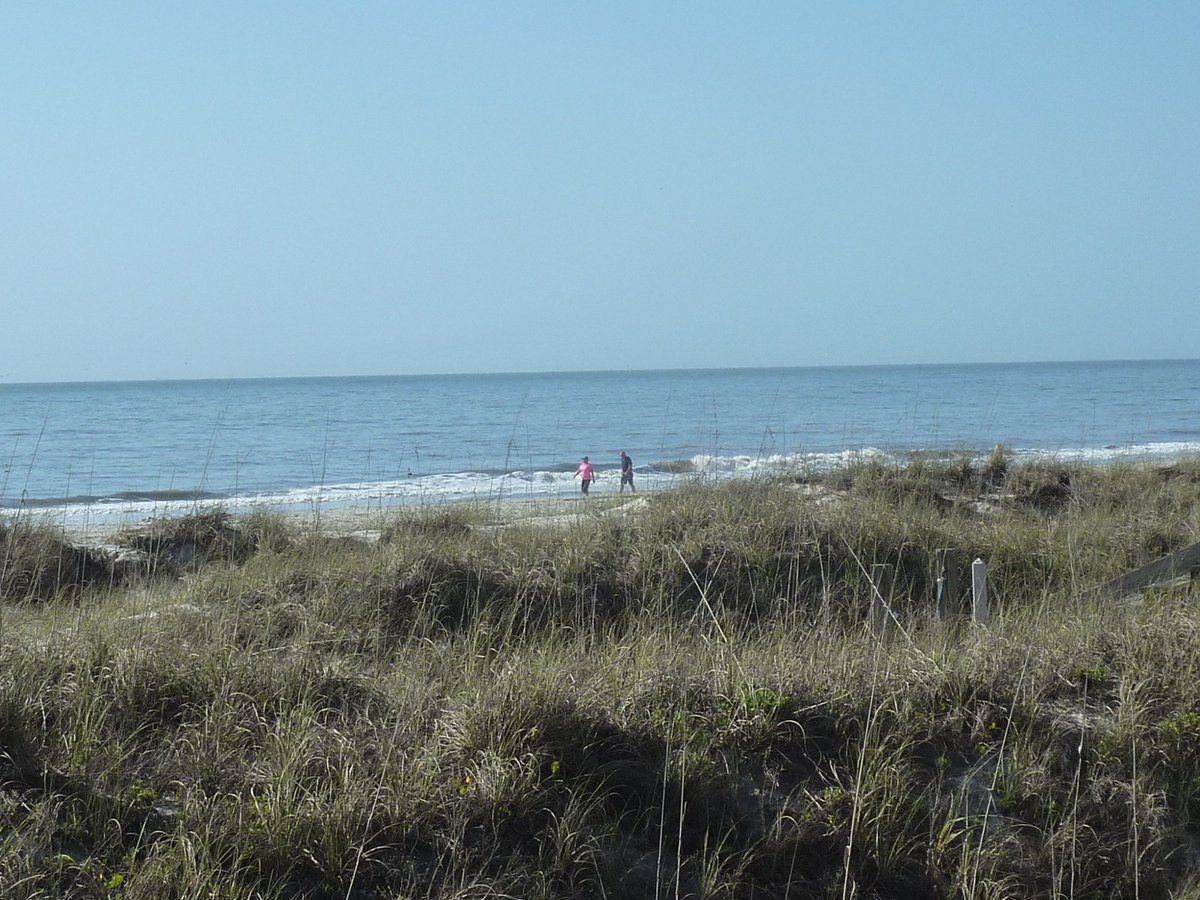 Driessen Beach Park (Hilton Head) - All You Need to Know BEFORE You Go