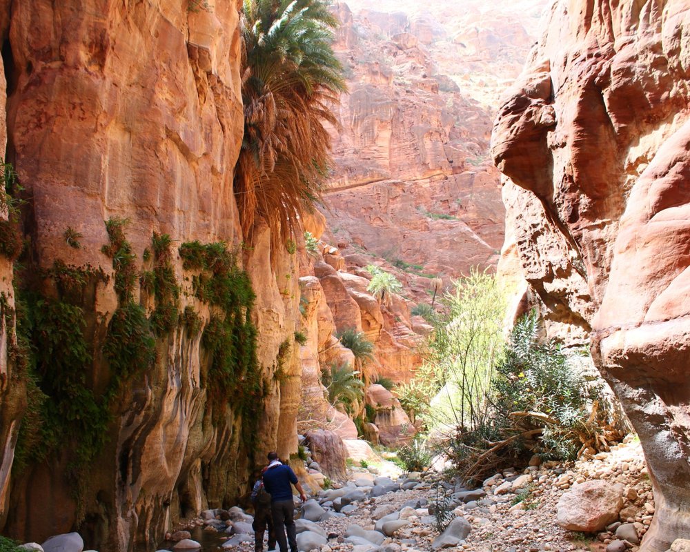 DIE TOP 10 Jordanien Parks & Gärten Tripadvisor