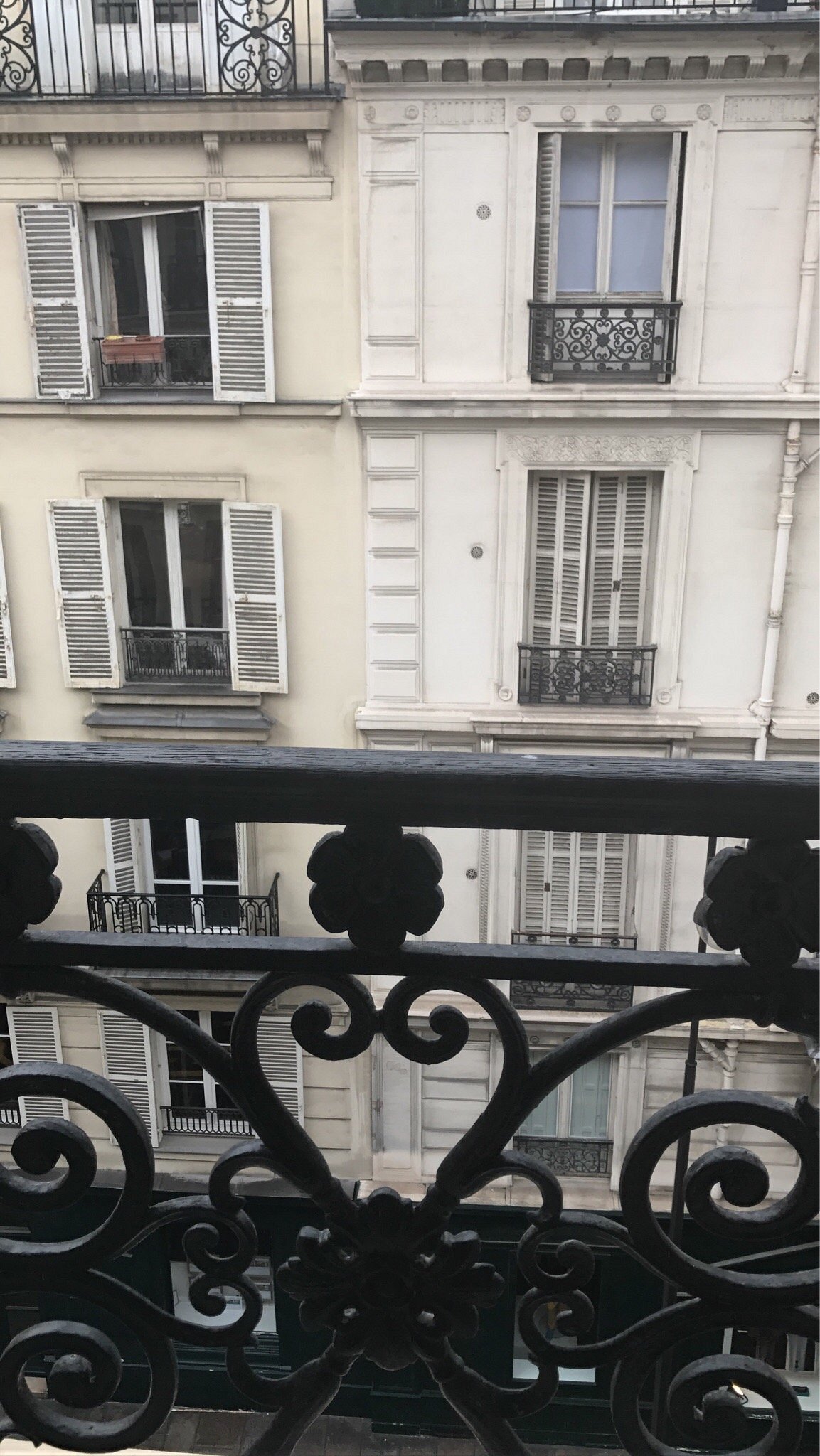 HÔTEL SPLENDIDE ROYAL PARIS (Париж) - отзывы, фото и сравнение цен -  Tripadvisor