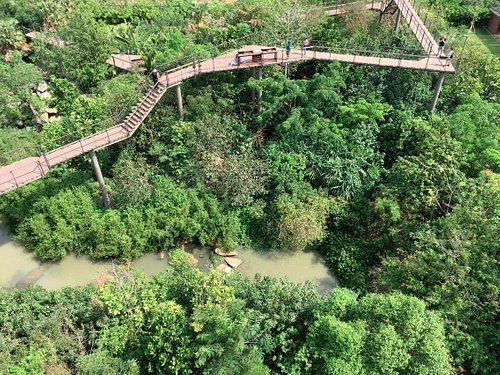 THE 10 BEST Parks & Nature Attractions Bangkok - Tripadvisor