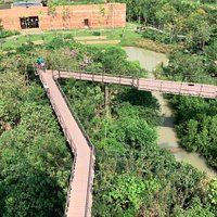 sky wark (canopy walk)