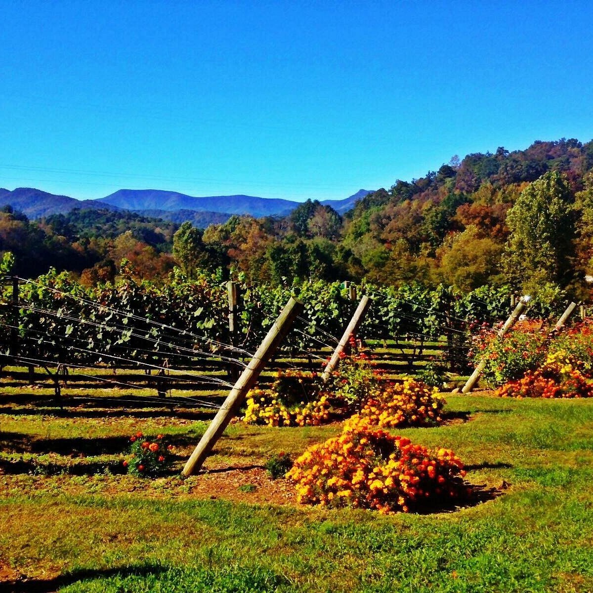 Blackbranch Farm