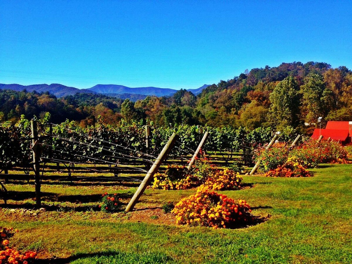 North Georgia Wine Vineyards, Cabin Rentals