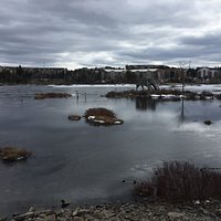Belchers Marsh Park