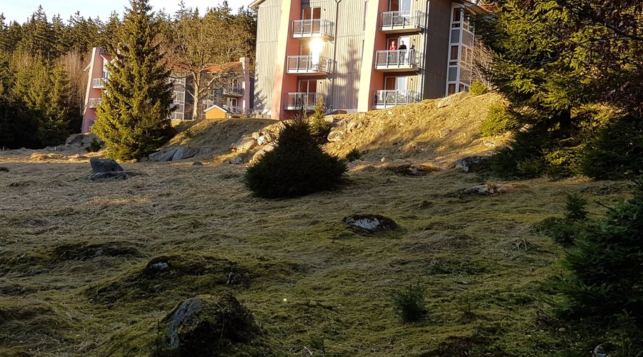 Brockenblick Ferienpark