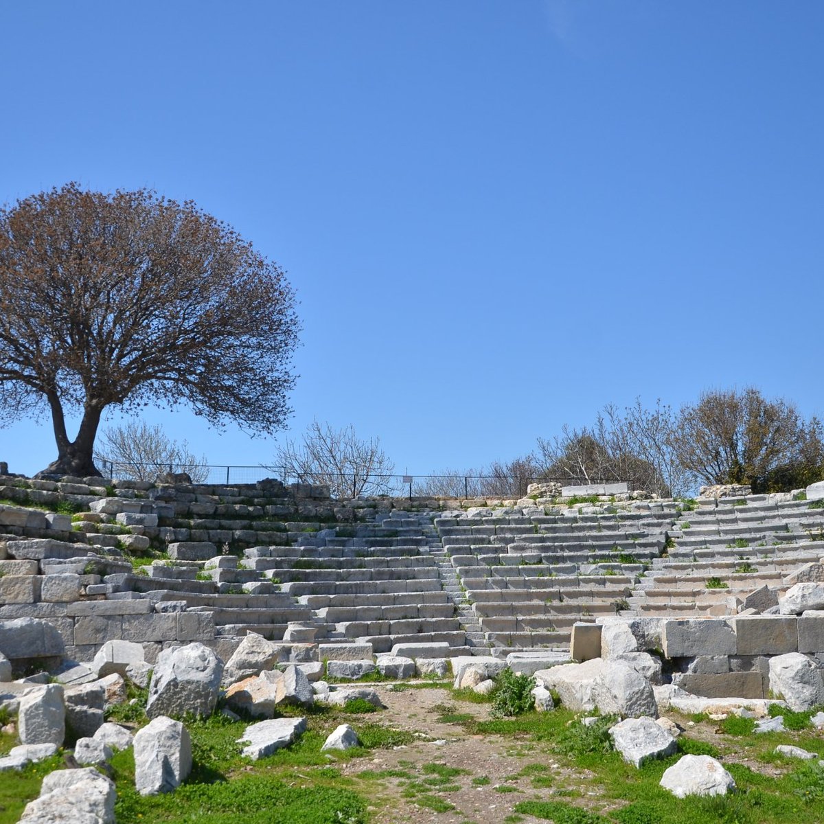 Teos. Чеферинхизар Турция. Teos Ruins.