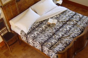 Room & Suite
