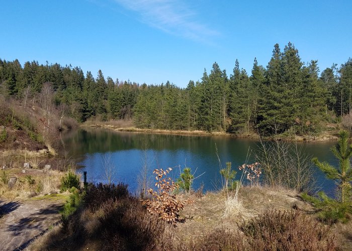 Naturlegepladsen I Momhoje