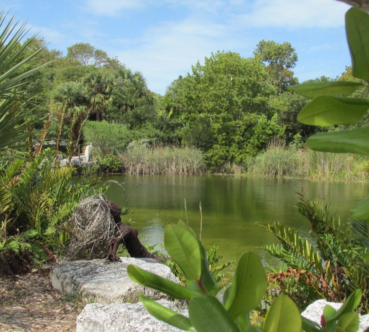 Key West Tropical Forest and Botanical Garden, Ки-Уэст: лучшие советы перед  посещением - Tripadvisor