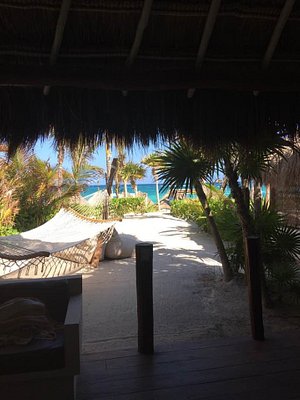 alma beach club tulum