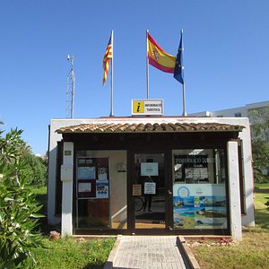 alcudia tourist information office