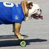 HM_Skater