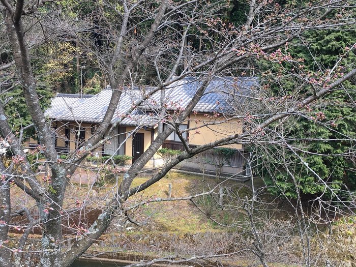 中尾山伝習館 口コミ 宿泊予約 トリップアドバイザー