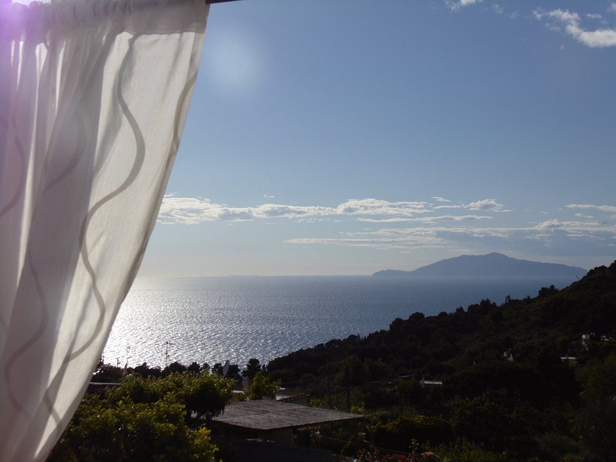 VILLA MIMOSA MAISON DELUXE B&B - Prices & Reviews (Island of Capri/Anacapri,  Italy)