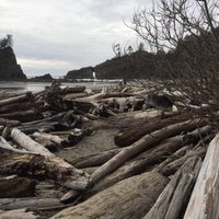 Second Beach (Washington) - All You Need to Know BEFORE You Go