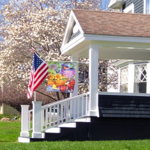 Baldwinsville Bed and Breakfast in Spring