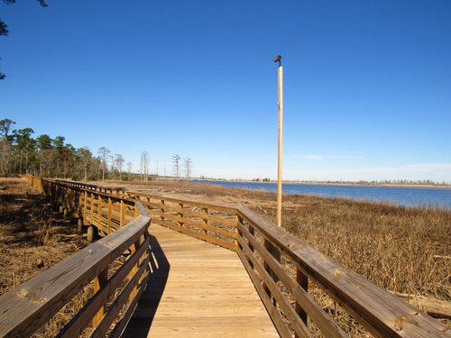 Things to do Wilmington NC