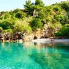 Coop Cilento Mare