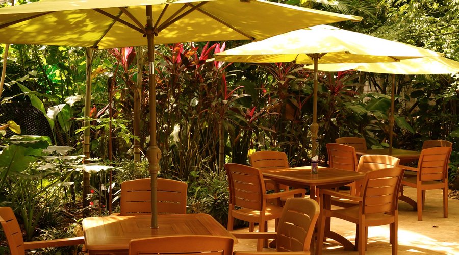 Agradable jardin en Yerbabuena