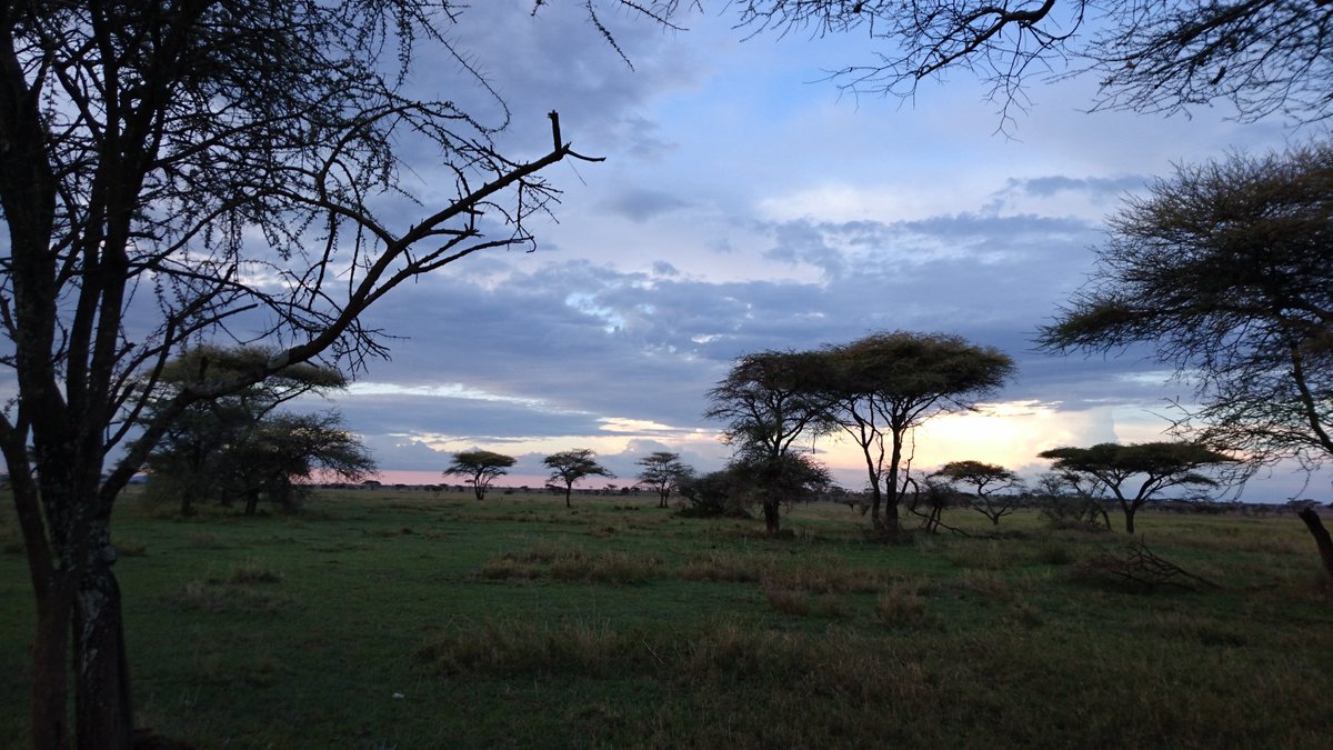 SERENGETI MAWE TENTED CAMP (Serengeti National Park, Tanzanya) - Kamp ...