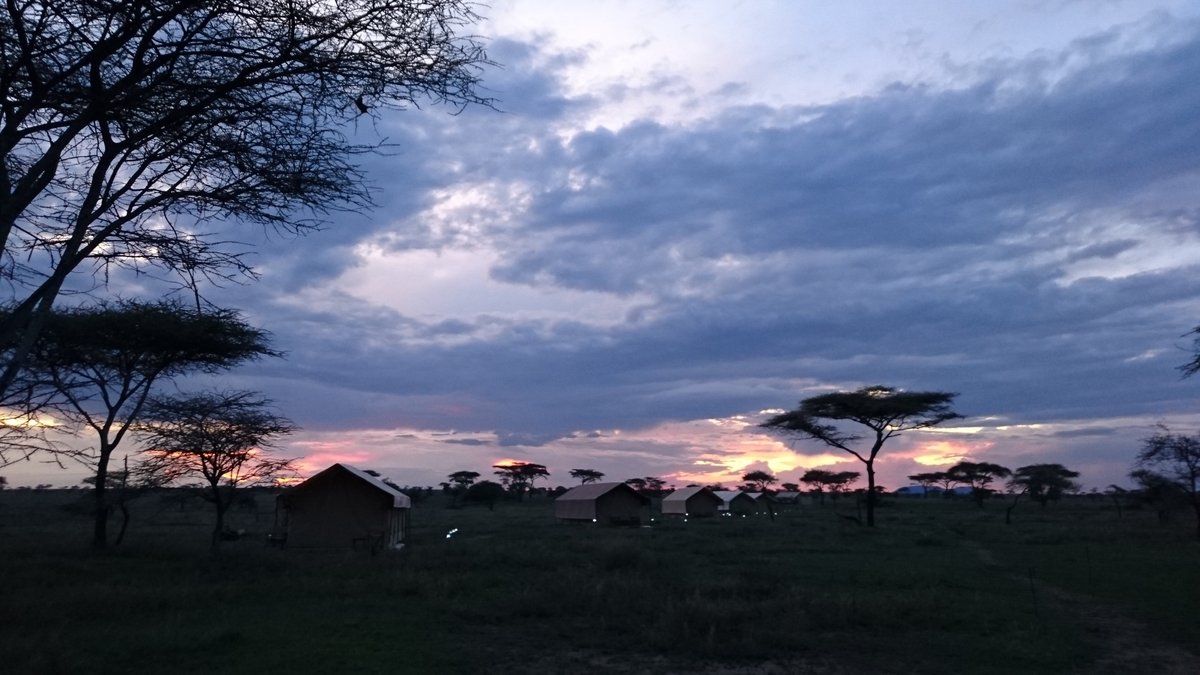 SERENGETI MAWE TENTED CAMP (Serengeti National Park, Tanzanya) - Kamp ...