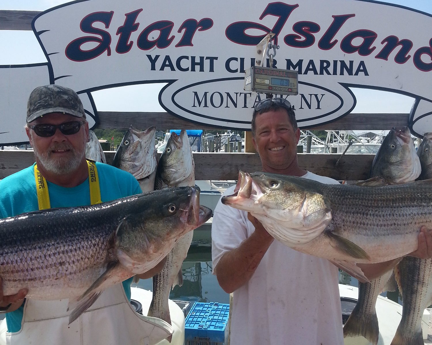 Montauk Fishing Charter CUJO All You Need to Know BEFORE You Go