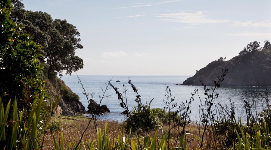 Owhanake Bay to Hauraki Gulf