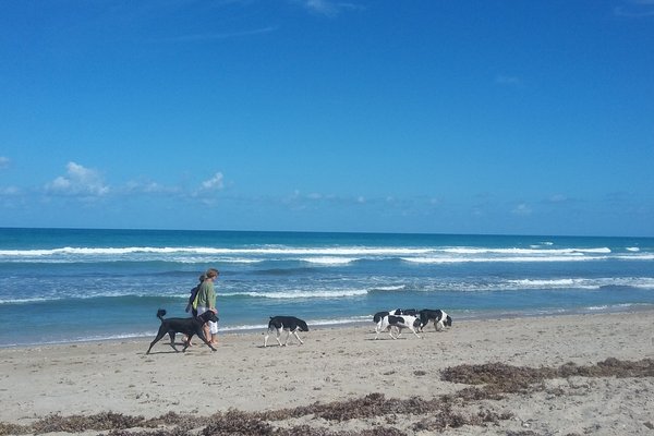 család szíve és egészsége jensen beach fl