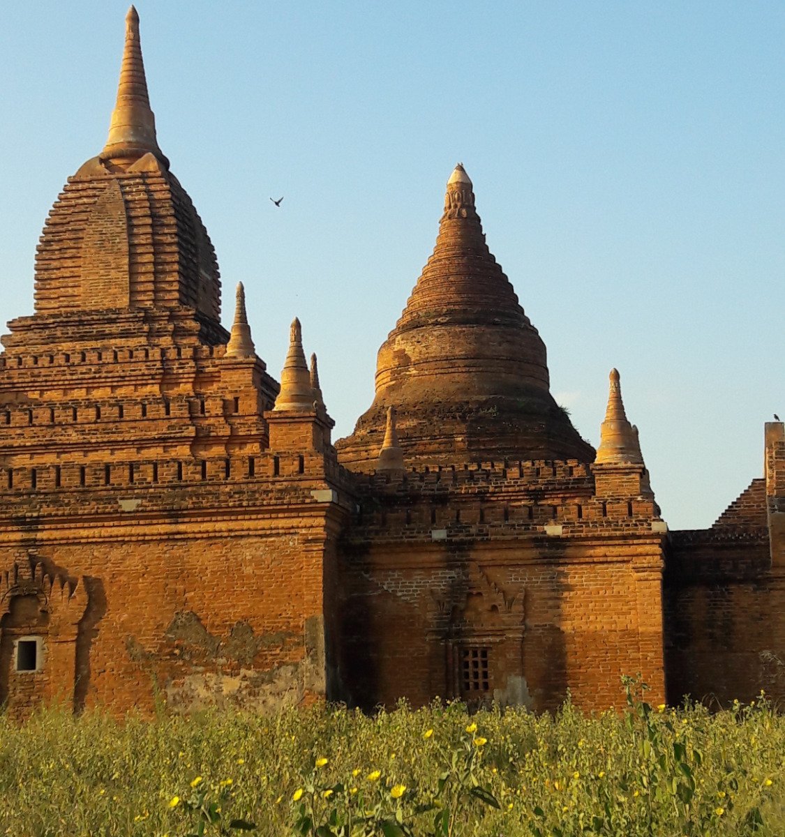 OLD BAGAN: Tutto quello che c'è da sapere (AGGIORNATO 2025)