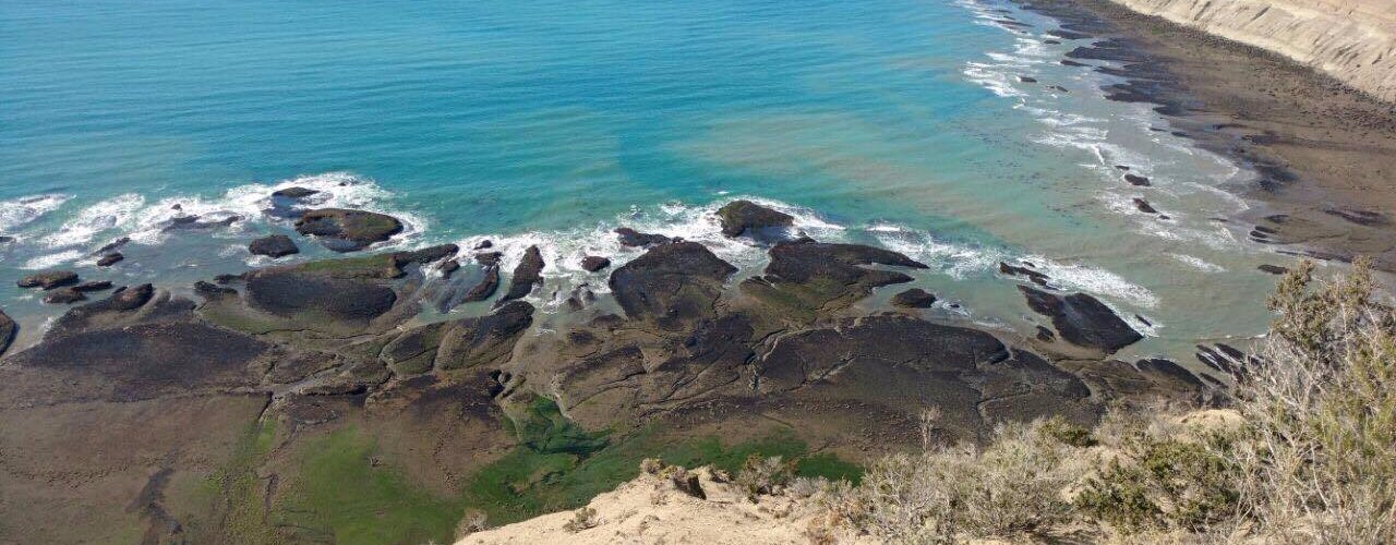 Restinga vista desde la falsa punta
