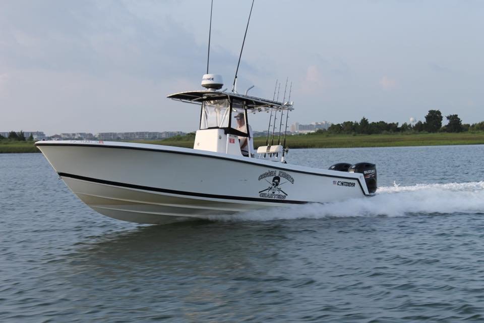 Wilmington Fish All You Need To Know BEFORE You Go 2024   Wilmington Fishing Charters 