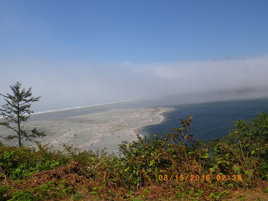 Mystic Forest Rv Park Is Owned And Operated By Tom And Carolyn Atlas The Park Is Located 5 Miles North Of Klamath And 14 Miles Rv Parks Cabin Camping Klamath