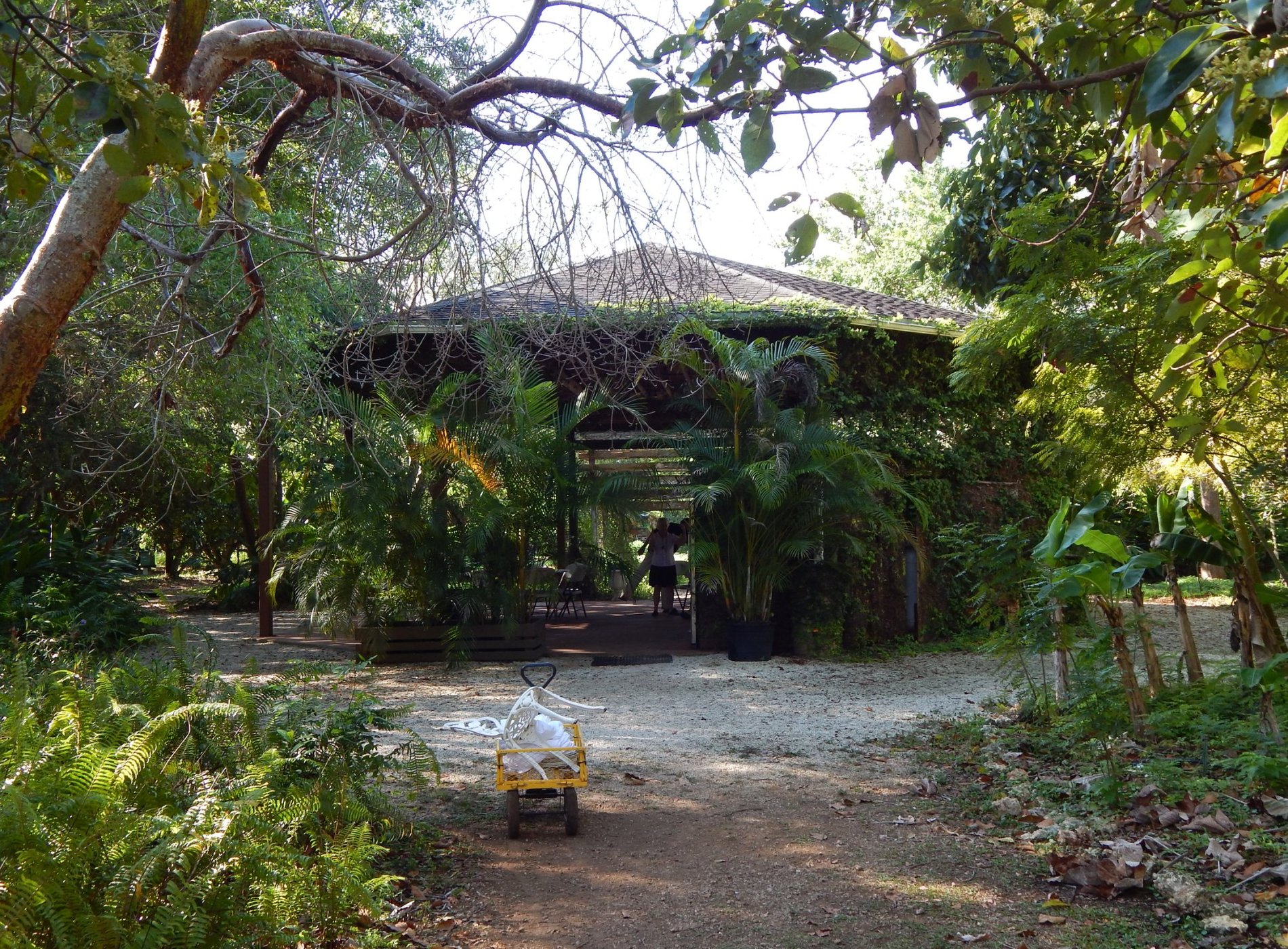 Paradise Farms by null