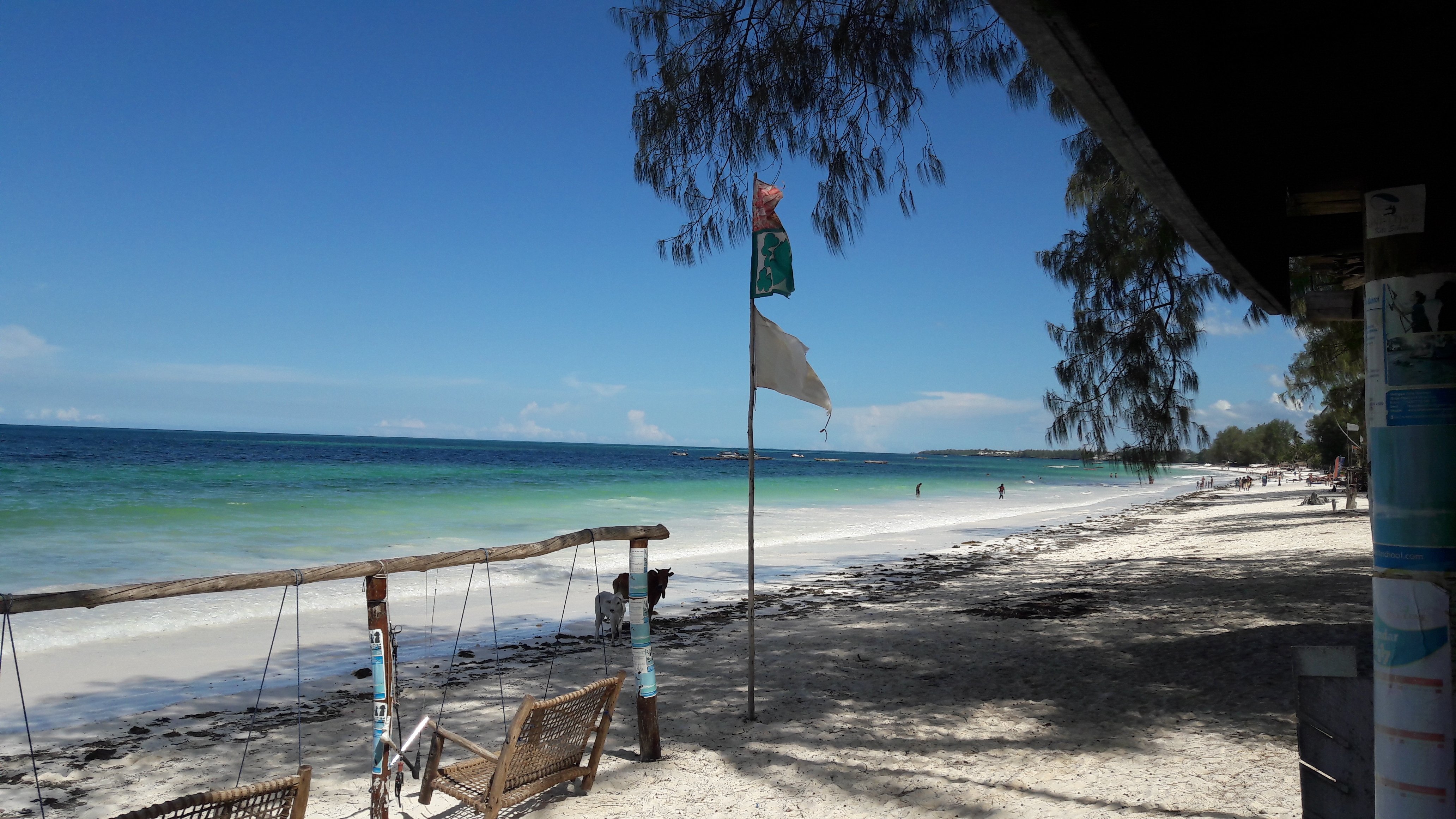 Toerisme In Zanzibar 2022 - Beoordelingen - Tripadvisor