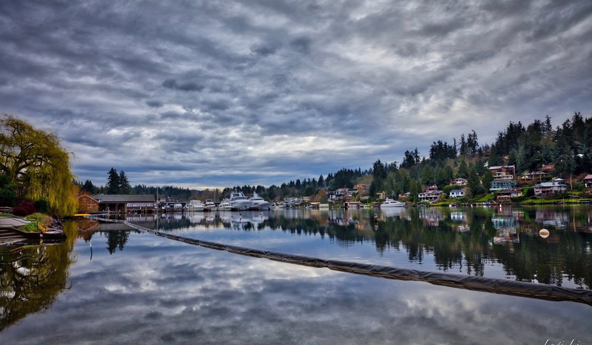 Best Things To Do in Bellevue, Washington  