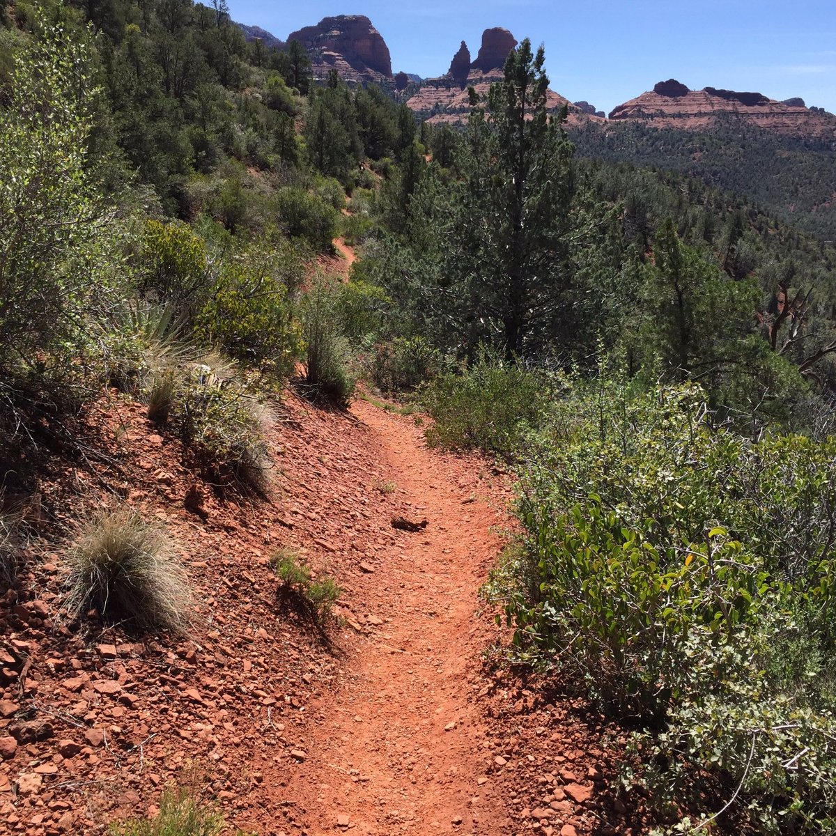 Mt Wilson Hiking Trail Mount Wilson Trail (Sierra Madre) - All You Need To Know Before You Go