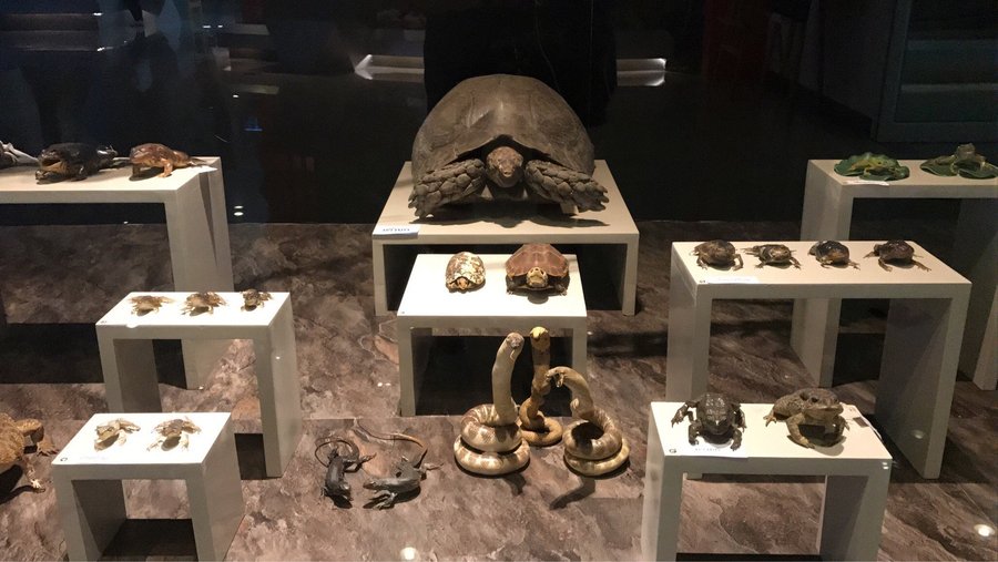 Natural History Museum