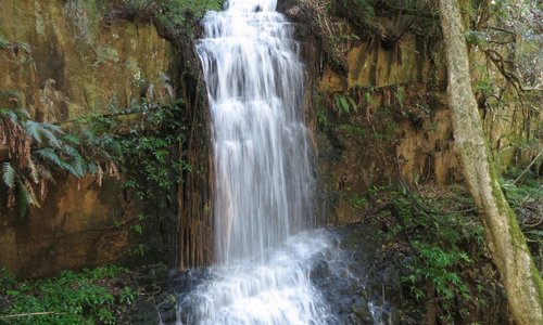 the waterfall, about a 3 hike round trip through the forest