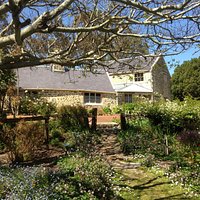 Old farm, Strawberry Hill, Albany, Great Southern - from gardens