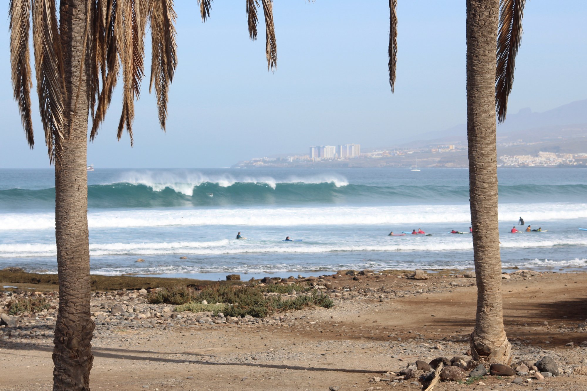 Tenerife Surf Point Playa De Las Americas Ce Quil Faut Savoir