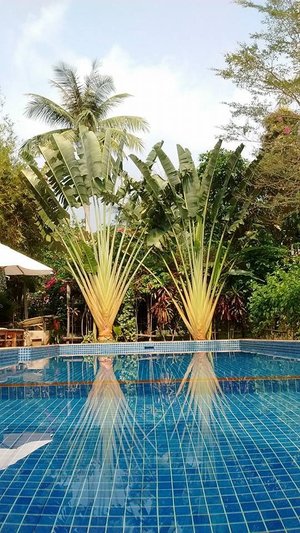 Туры в отель La Veranda Resort Phu Quoc 5*, Вьетнам, Фукуок - цены в 2024 году н