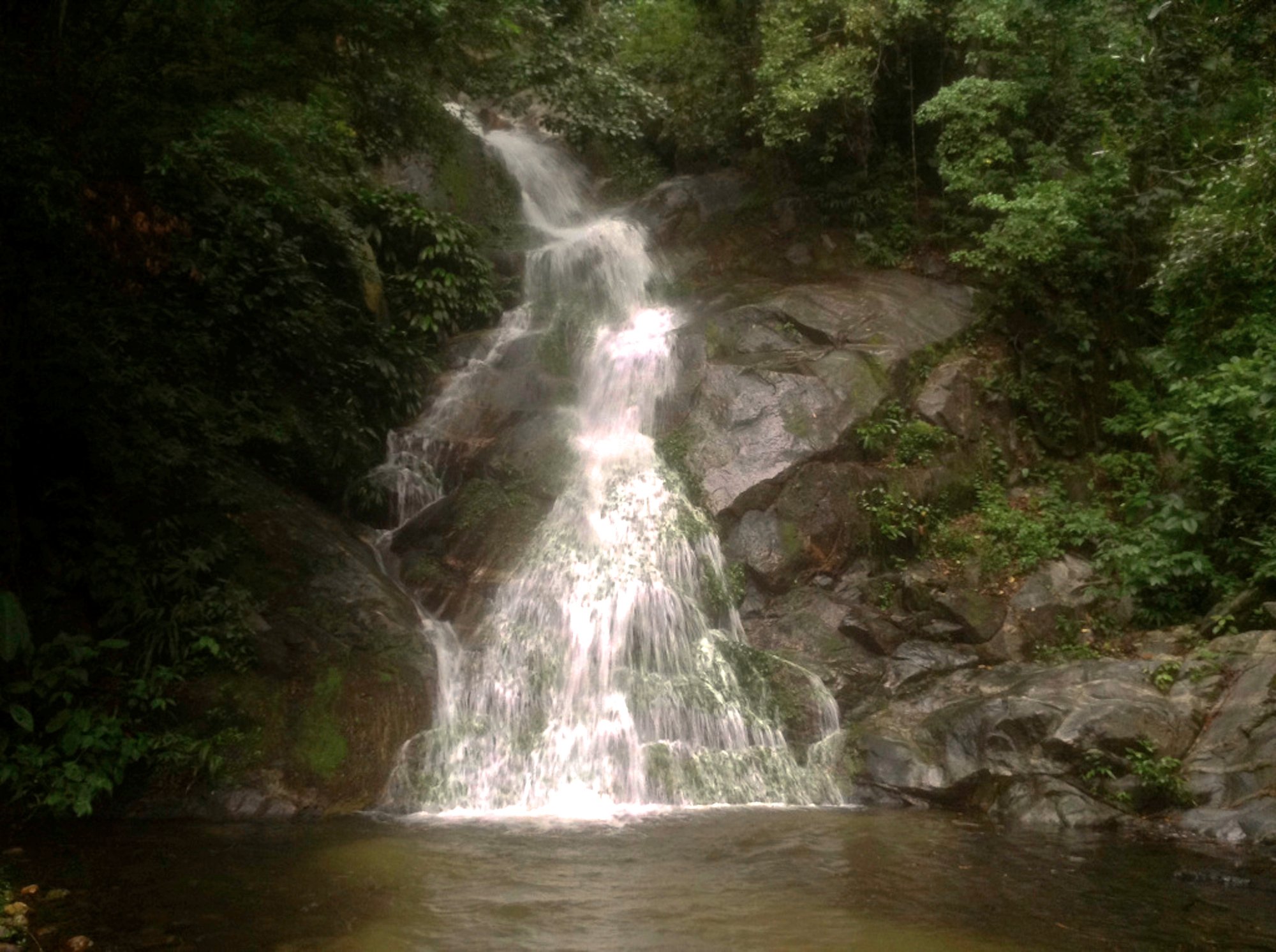 Hotel photo 7 of Finca Carpe Diem.