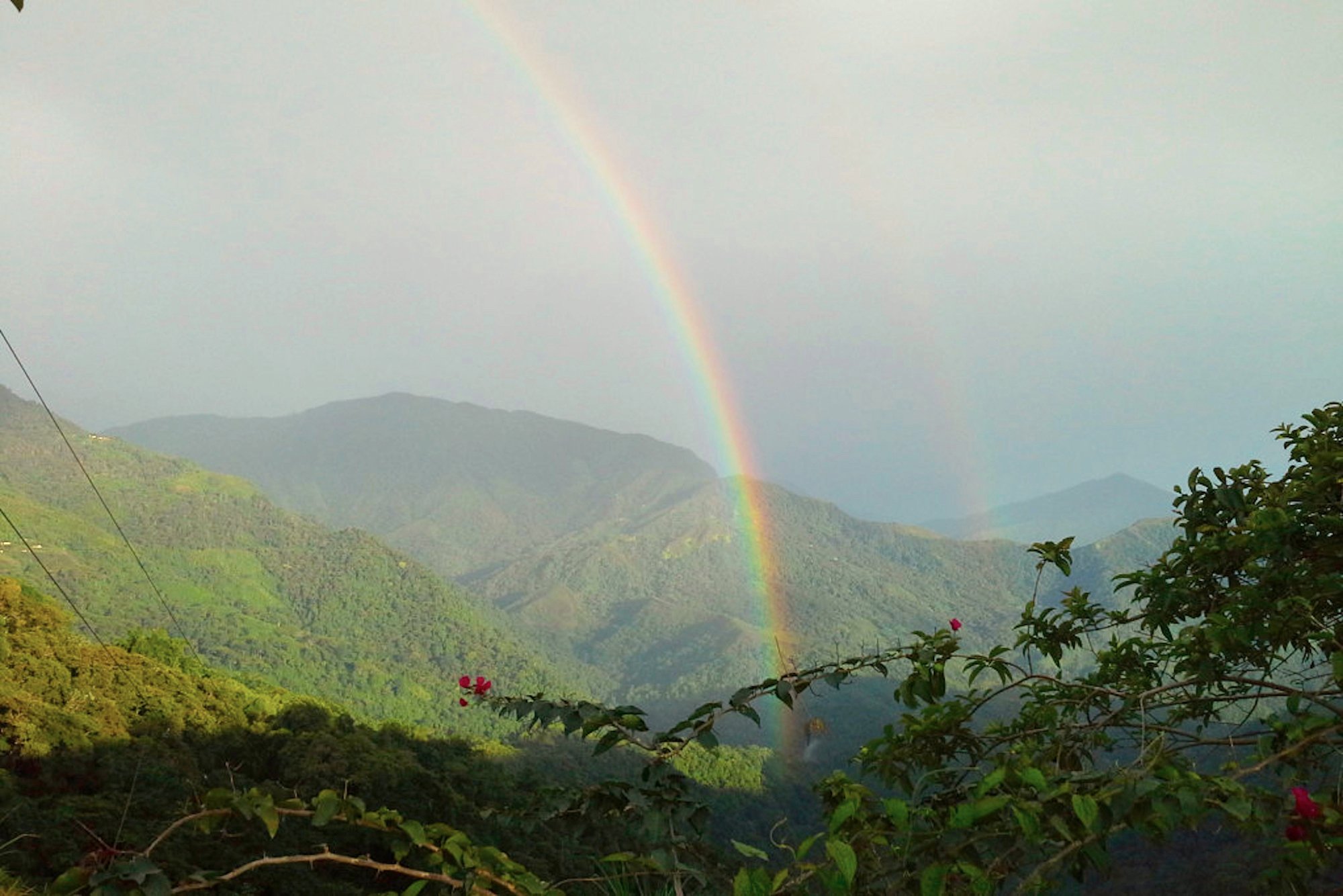 Hotel photo 21 of Finca Carpe Diem.