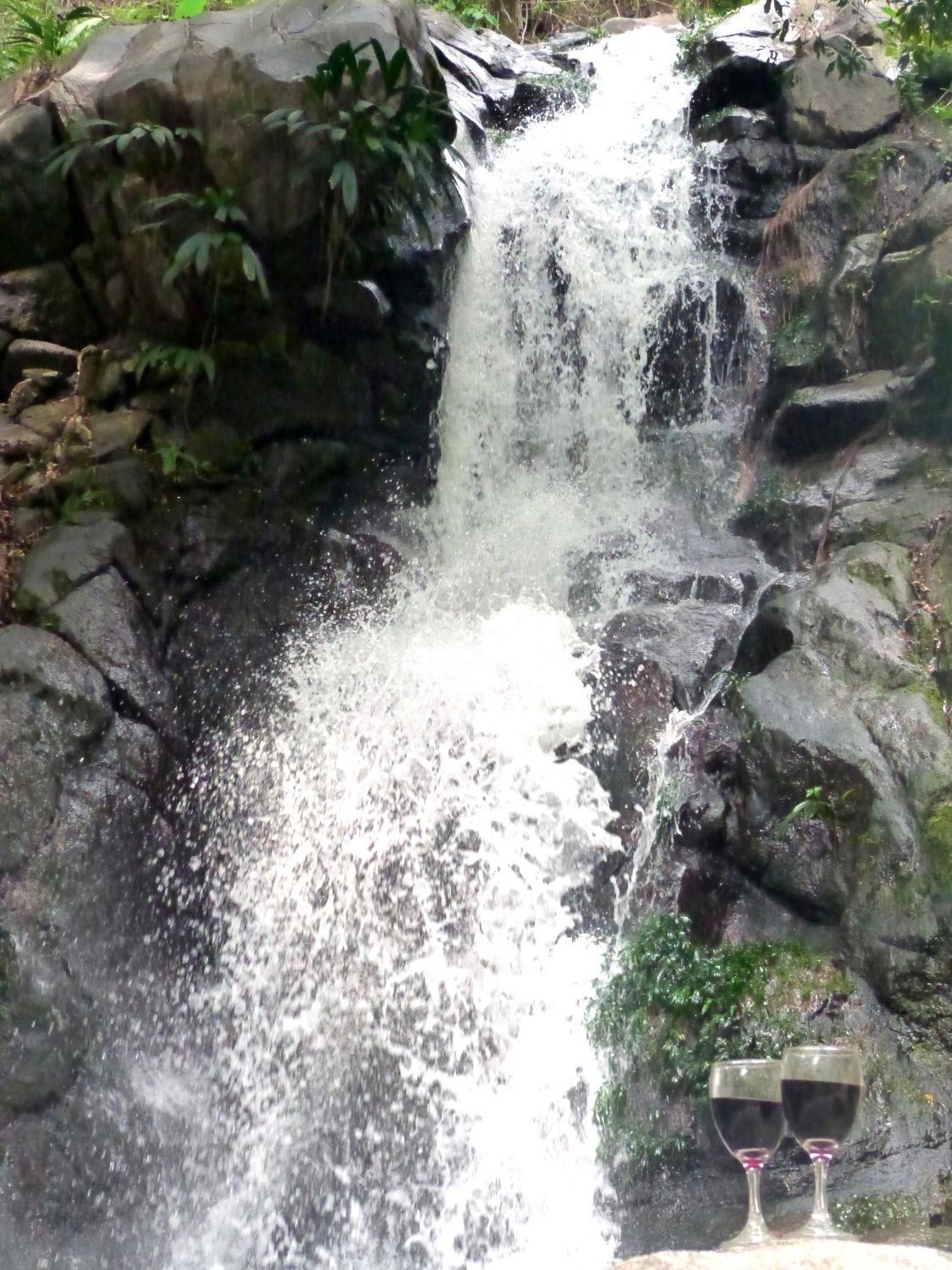Hotel photo 9 of Finca Carpe Diem.