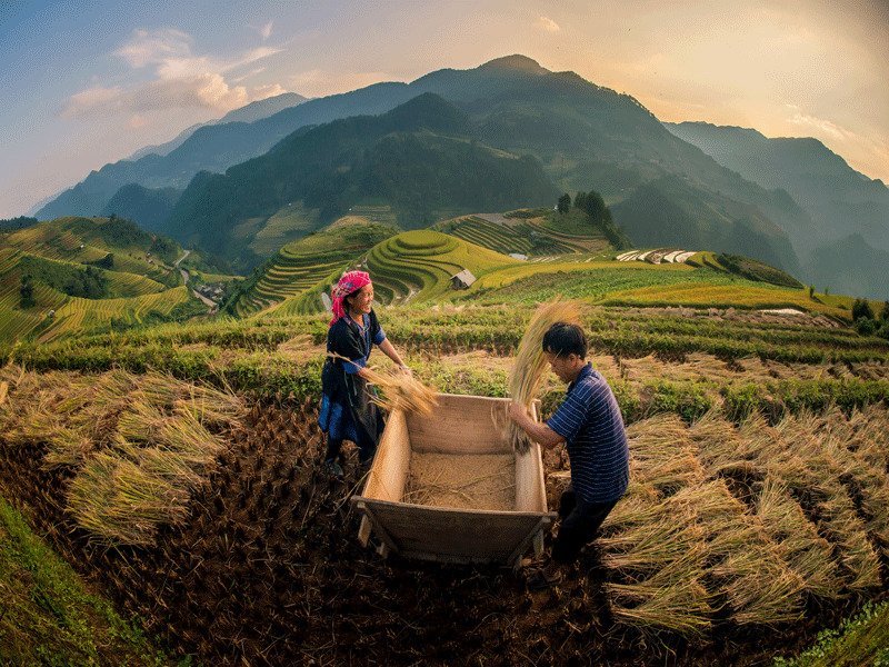 Trekking Sapa (Việt Nam) - Đánh giá - Tripadvisor