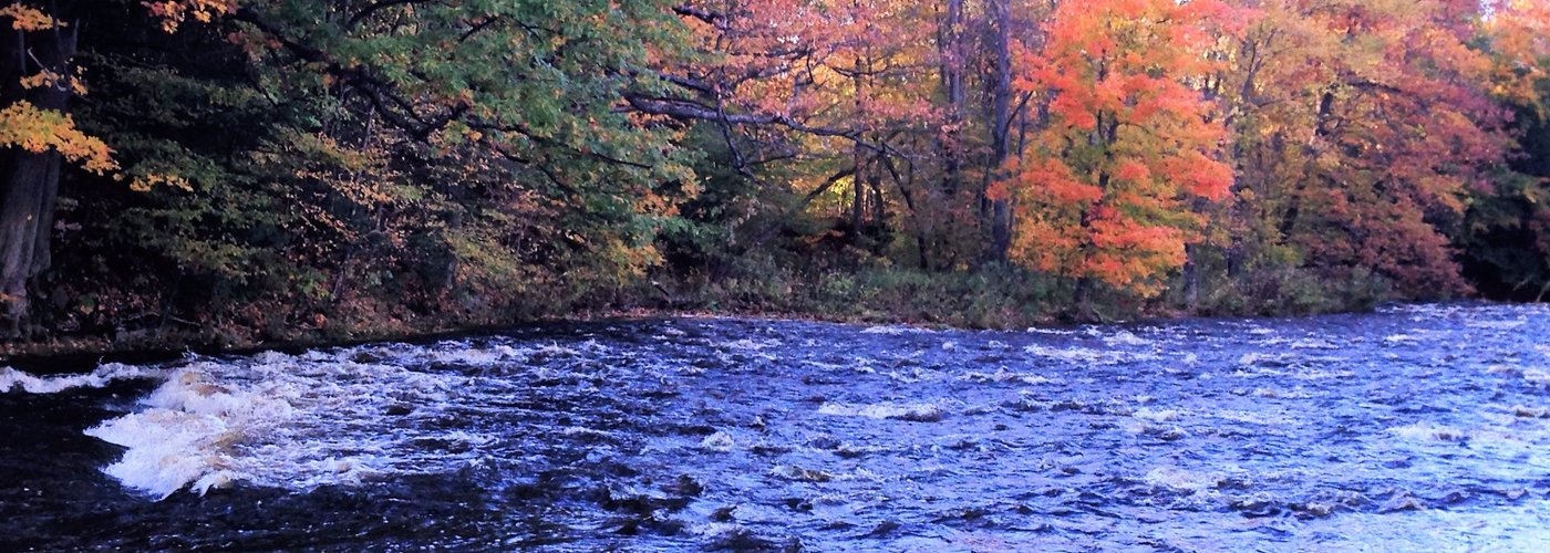 Little Salmon River and beautiful fall colors